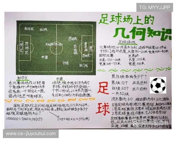 围绕足球集体冲场规则的安全管理与应对机制研究探讨路径分析框架研究